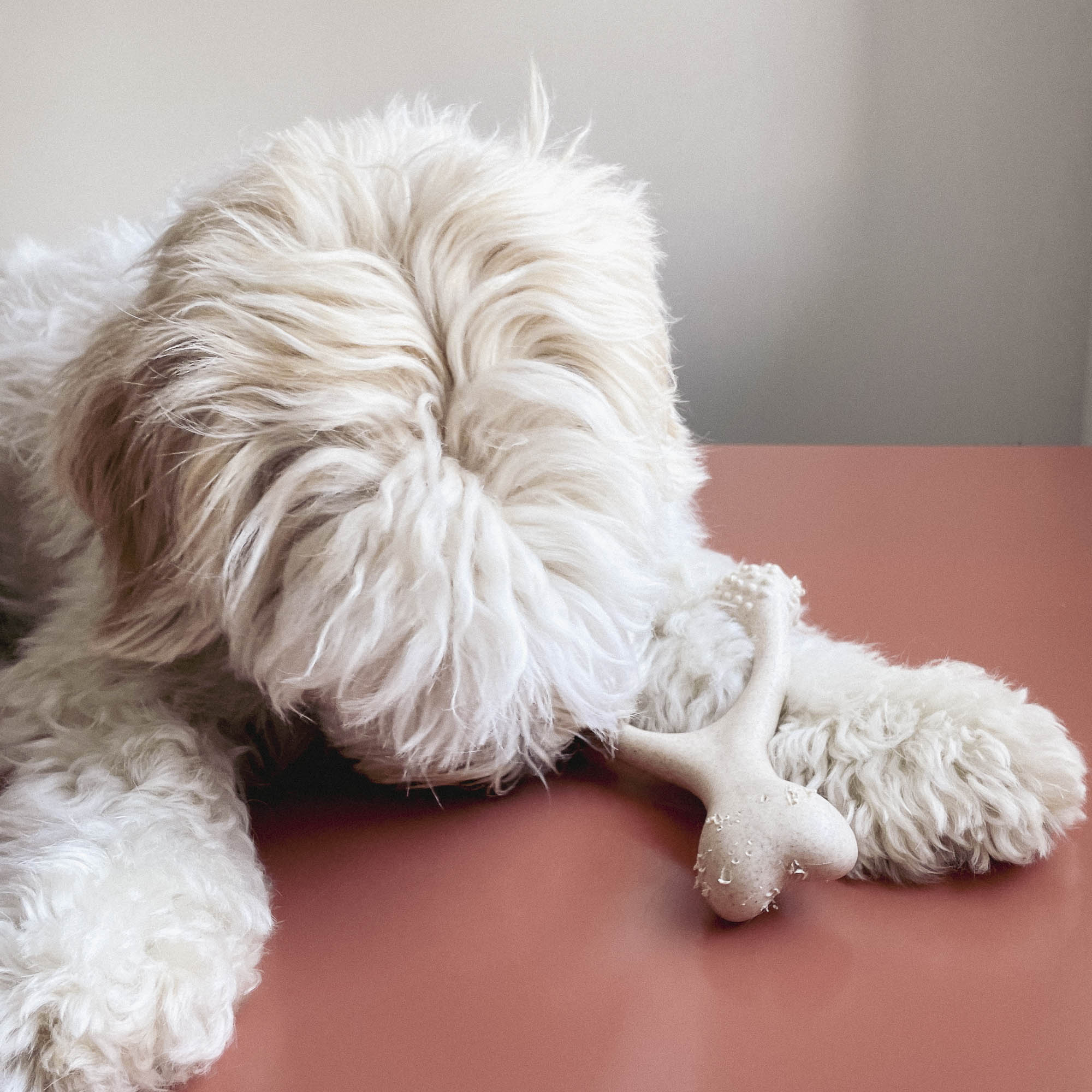 Plant-based Chew / Small Medium