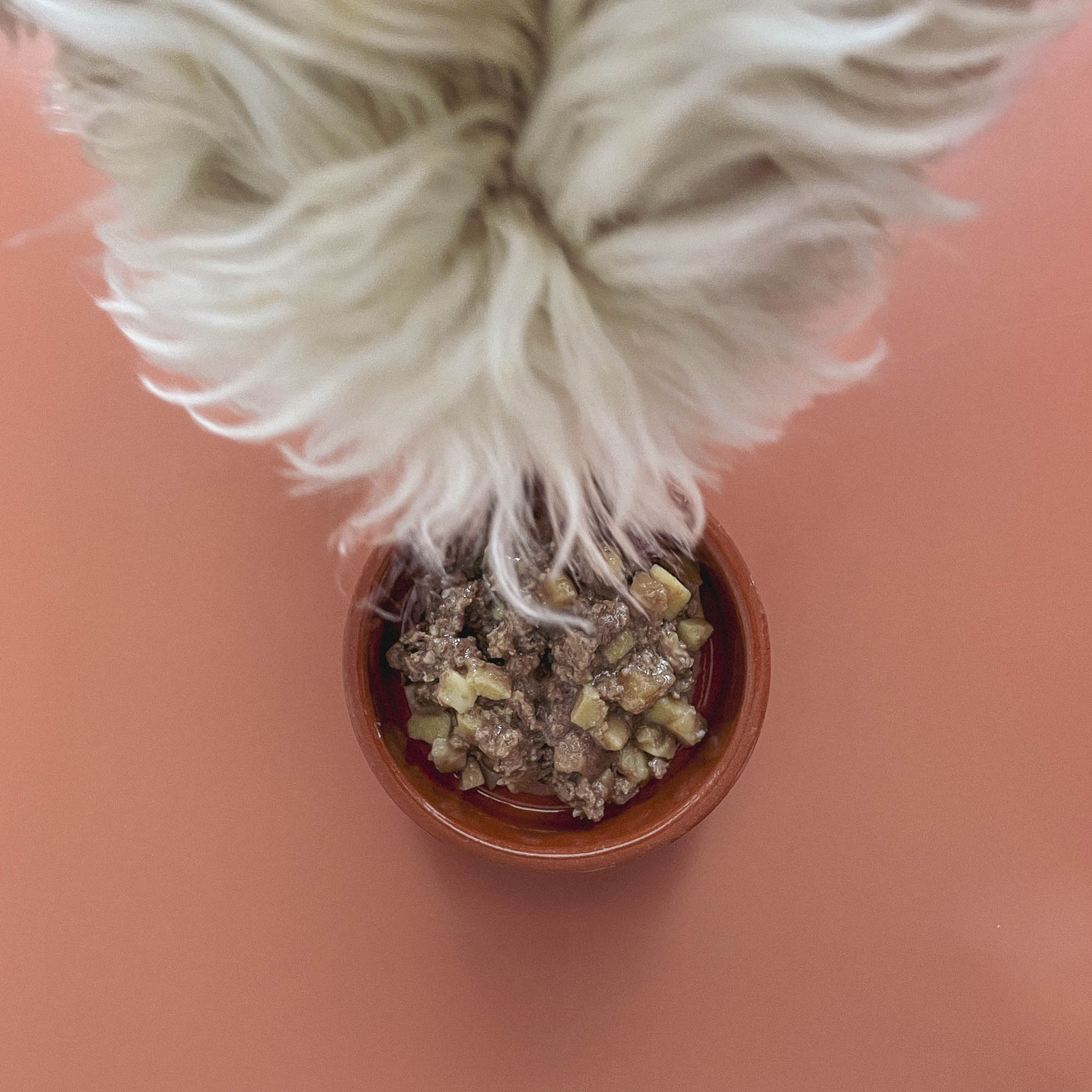 Deer with Potatoes & Turnips Wet Food for Dogs (190g)