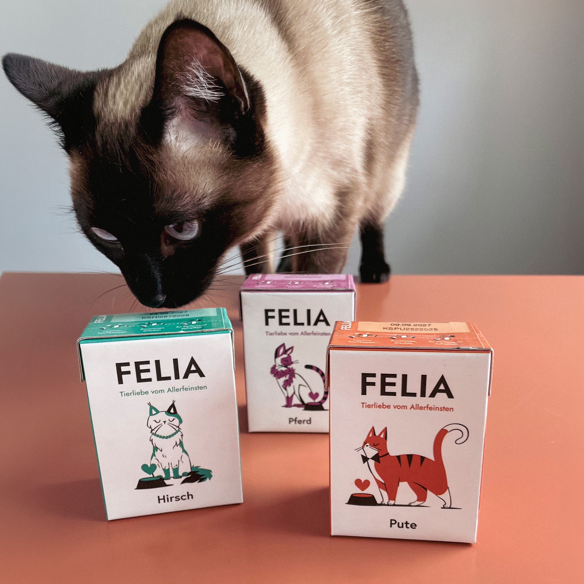 Turkey Wet Food for Cats (190g)